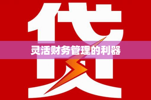 火炬灵活财务管理的利器