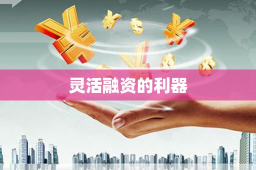 火炬灵活融资的利器