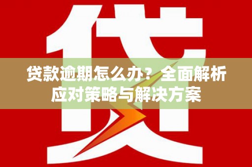 火炬贷款逾期怎么办？全面解析应对策略与解决方案