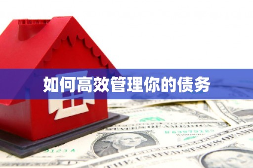 火炬如何高效管理你的债务