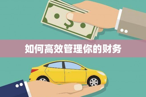 火炬如何高效管理你的财务