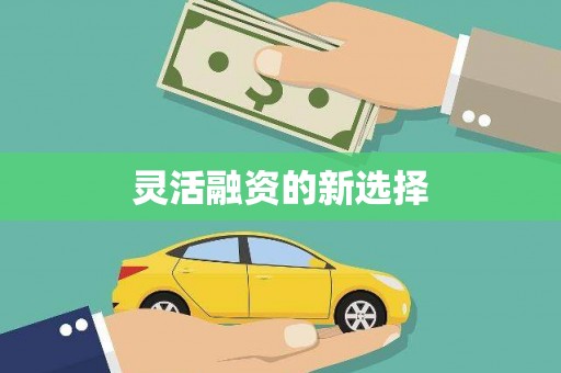 火炬灵活融资的新选择