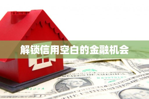 火炬解锁信用空白的金融机会