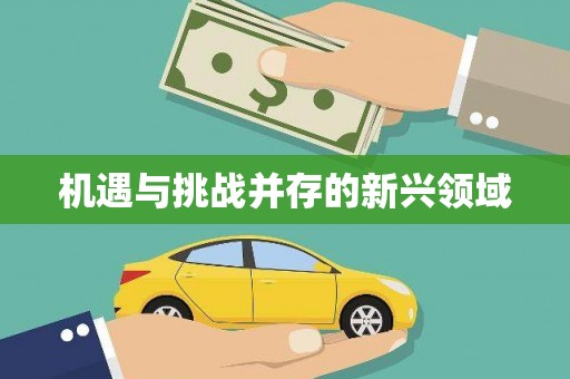 火炬机遇与挑战并存的新兴领域
