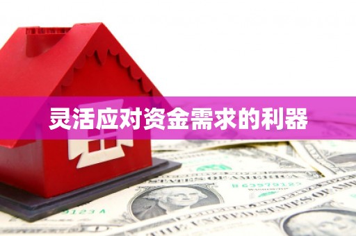 火炬灵活应对资金需求的利器