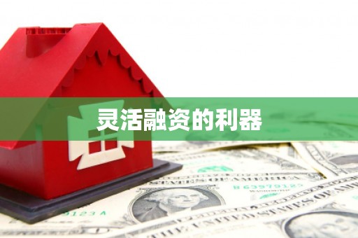 火炬灵活融资的利器