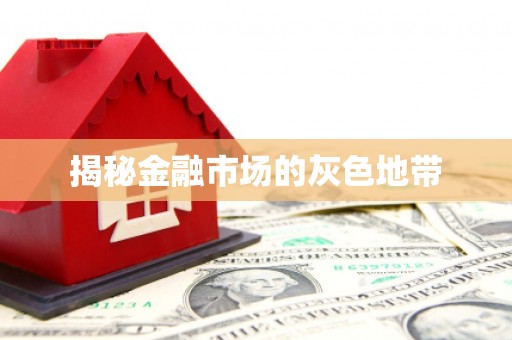 火炬揭秘金融市场的灰色地带