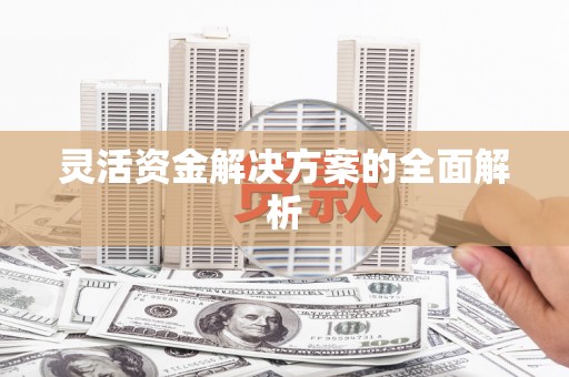 火炬灵活资金解决方案的全面解析