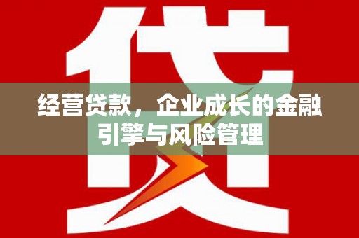 火炬经营贷款，企业成长的金融引擎与风险管理