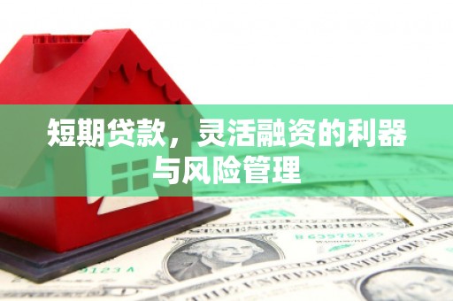火炬短期贷款，灵活融资的利器与风险管理
