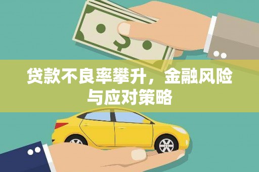 火炬贷款不良率攀升，金融风险与应对策略